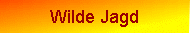 Wilde Jagd